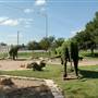 Chisholm Trail Memorial Park