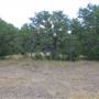 Milton Reimers Ranch County Park