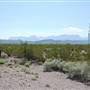 Big Bend National Park