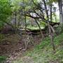 Cedars on the Brazos Bed & Breakfast