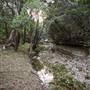 Cedars on the Brazos Bed & Breakfast