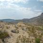 Big Bend Ranch State Park - Barton Warnock Environmental Education Center