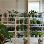 Eden Plant Co.