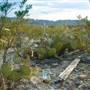 Terlingua Ghost Town