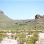 Big Bend Ranch State Park - Yedras