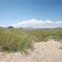 Big Bend Ranch State Park - Papalotito Colorado