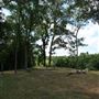 Spiderwood Studios 969 - Backlot