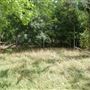 Spiderwood Studios 969 - Backlot