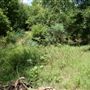 Spiderwood Studios 969 - River Cabin / "Scare-BnB"