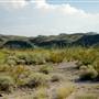 Big Bend Ranch State Park