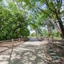 Dr. Robert Cluck Linear Park