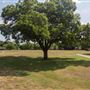 Duncan Robinson Park
