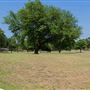 High Oak Park