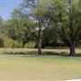 Julia Burgen Linear Park