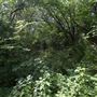 O.W. Fannin Natural Area