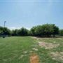 Tails 'N Trails Dog Park