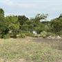 Fairlea Longhorn Ranch