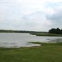 Lake Bryan