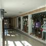 Buddy Holly Center