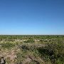Descent of the Llano Estacado