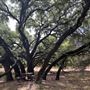 Stone House Ranch