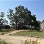 Stone House Ranch