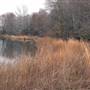 Mineola Nature Preserve