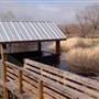 Mineola Nature Preserve