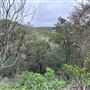 Panther Canyon Nature Trail