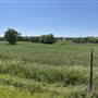 7D Hay & Cattle LLC