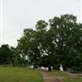 Lake Cliff Park