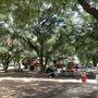 Carol Fox Park