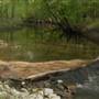 Stanford Property