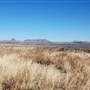 Cibolo Creek Ranch