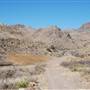 Cibolo Creek Ranch