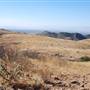 Cibolo Creek Ranch