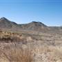 Cibolo Creek Ranch