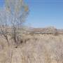 Cibolo Creek Ranch