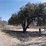 Cibolo Creek Ranch