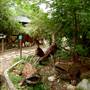 Wimberley