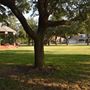 Heritage Park