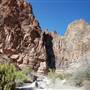 Big Bend National Park - Burro Mesa Canyon