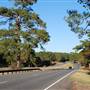 HWY 21 (East of Bastrop)