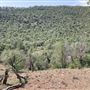 Hess Property