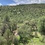 Hess Property