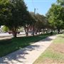Elgin