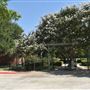 Rose Garden & Historic Market Depot