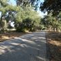 Jones Road
