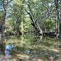 Blue Hole Regional Park