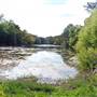 Onion Creek at CR 236